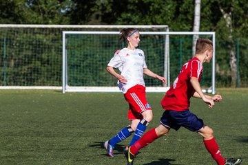 Bild 265 - Frauen HSV - cJun Eintracht Norderstedt : Ergebnis: 1:16